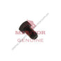 TDA S165B2 LOCK PATCH BOLT