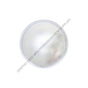 TL  40227 MDL 40 DOME LMP