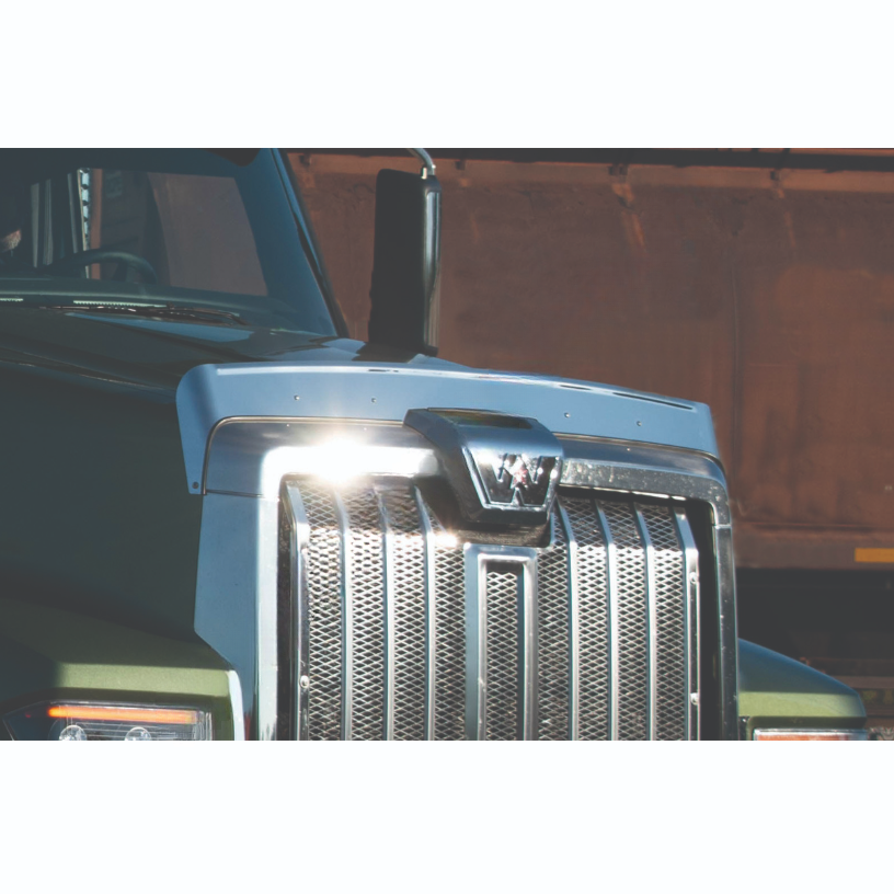 WBP WSS367 BUG DEFLECTOR, WESTERN STAR, 49X