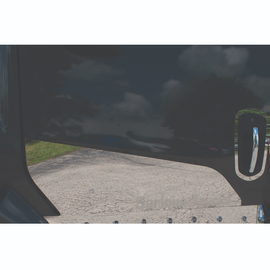 WBP WSS369 DOOR TRIM, LWR, WS 49X W/SERIOUS TRUCKS