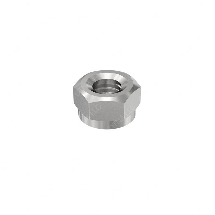 WWS 8003256 NUT, HEX 1 1/4 - 12 INS