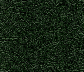 ZB5620390101 COVER SEAT CUSH 39IN 42OZ GRN