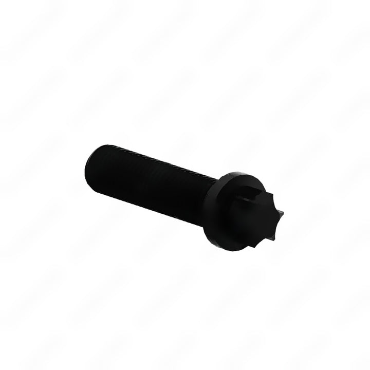 ZFT 075010897601 TORX SCREW
