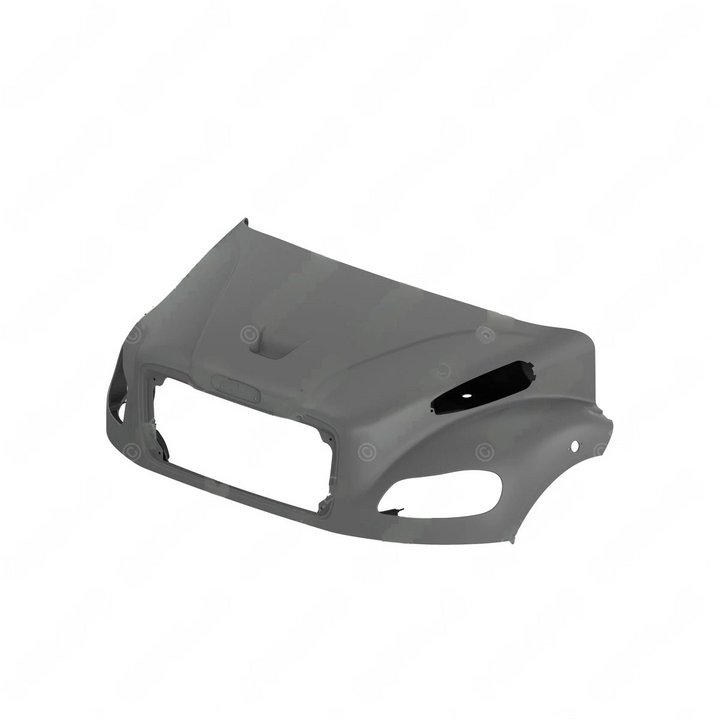 A17-20384-004 HOOD-100