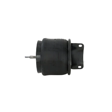 C81-1004 Air Spring Assembly
