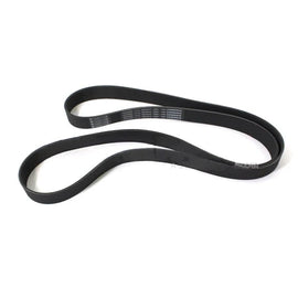 D84-1000-3122460 BELT-POLY 12 RIBS X 2460 ORION HD/PLYSTR