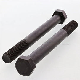 HWC04722 BoltHex M16200X160 Cl109 Pho