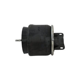 K303-28 Does Not Include Internal Stop10.5HT