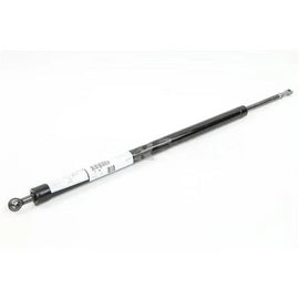 L71-6022 StrutHood Assist