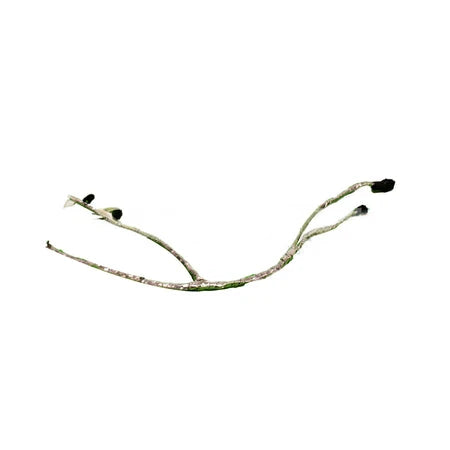 M92-6039 HARNESS- DPF/SCR, 320