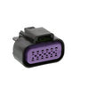 P20-1316-2112 ConnectorGt150 Female 12Way Sealed